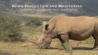 Rhino notching