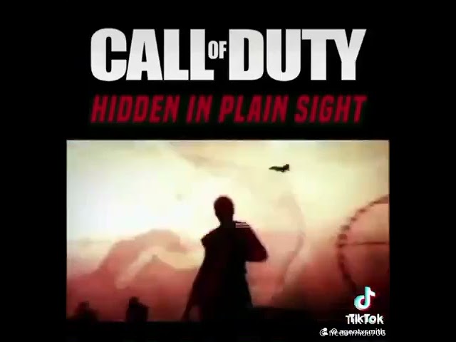 Call of Duty Hidden in Plain Sight