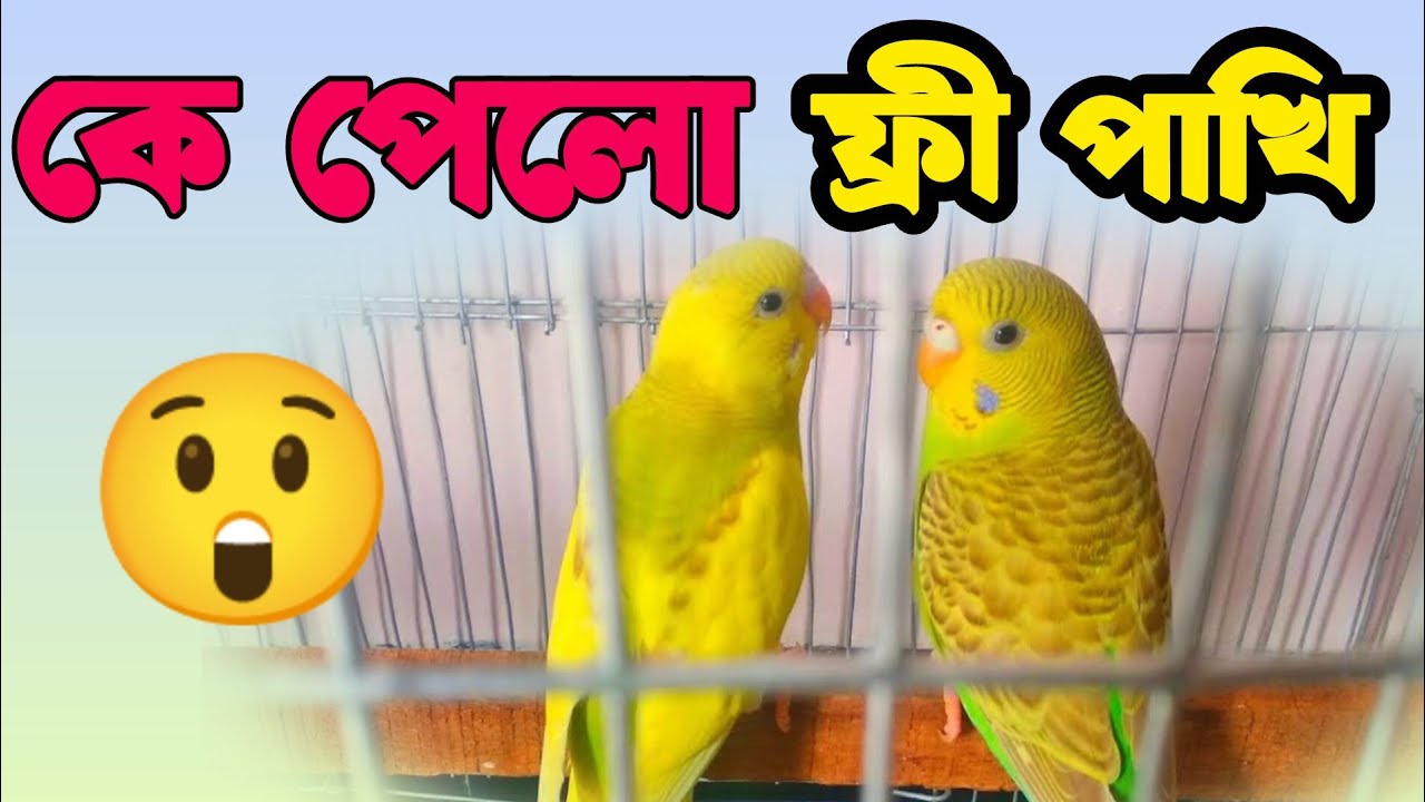 কে পেলো ফ্রী পাখি  😲 দেখে নিন 😲 