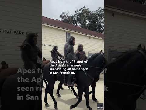 Apes from 'Planet of the Apes' surprise locals, ride on horseback to promote new movie #Shorts