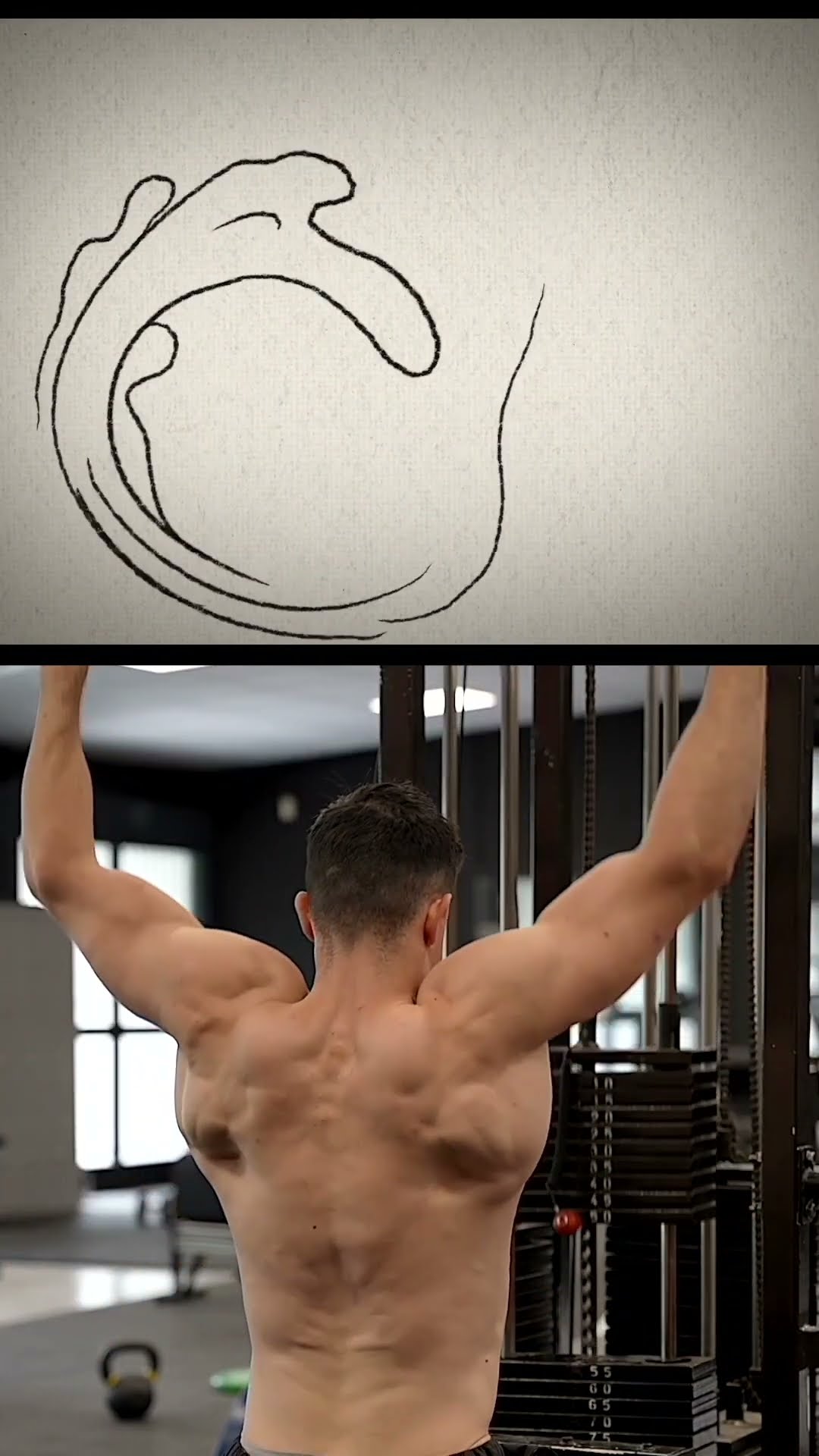 This video changed my life !! ?