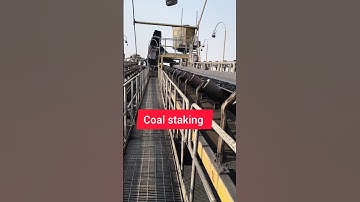 coal staking short video