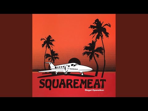 Squaremeat — Illegal Operation