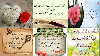 Zindagi Ki Khubsurat Baten Anmol Moti Islamic Quotes In Urdu Motivational Quotes,