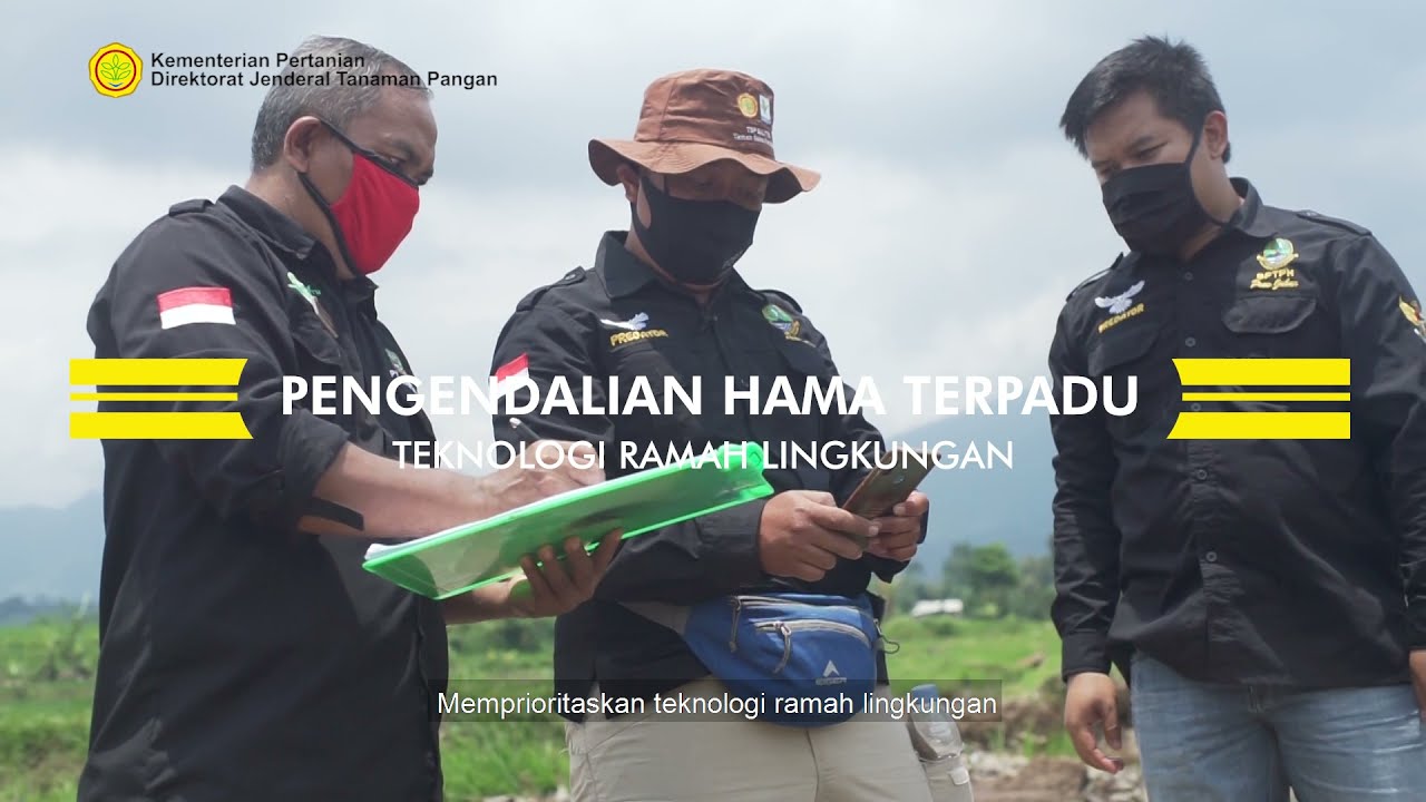 Pengendalian Hama Terpadu