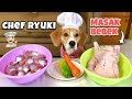 Masak bebek untuk anjing spill resep makanan favorit ryuki