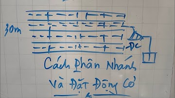 Chia sẽ cách bố trí hệ thống tưới đúng và sai#water #agriculture #farming