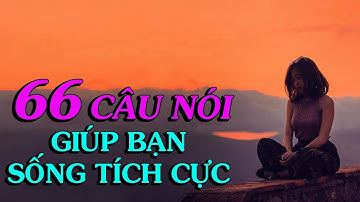 Những câu nói giúp bạn SỐNG TÍCH CỰC HƠN - Thiền Đạo