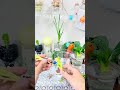 DIY Hydroponic Green Onions at Home – A Relaxing Green Space for Small Homes