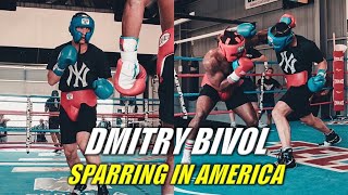 Dmitry Bivol Sparring in America