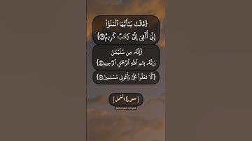 سورة النمل الآية ٢٨ الى ٣٢ بصوت الشيخ محمد صديق المنشاوي