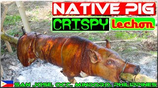 EP93 - Native Pig Lechon | Backyard Cooking | Occ. Mindoro