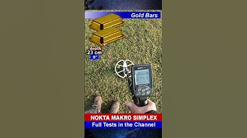 The best tests of the month with metal detectors by @detectorsound #shortsvideo #metaldetectors