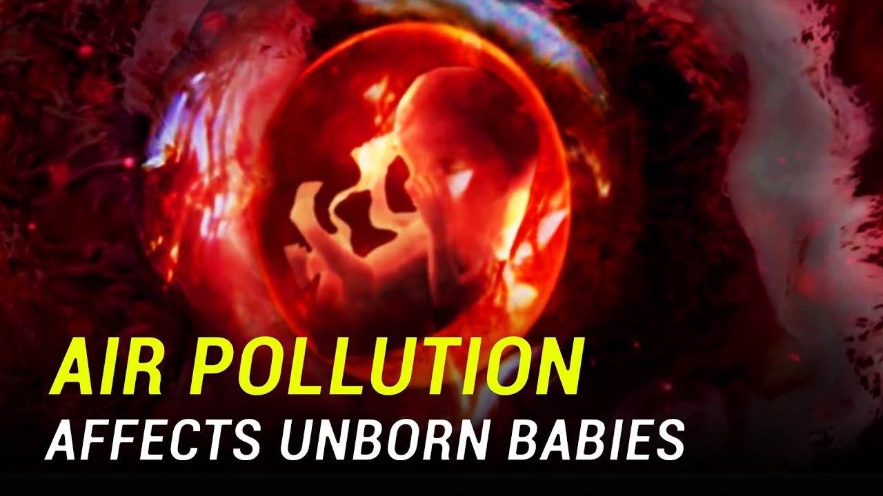 Air Pollution Affects Unborn Babies YouTube
