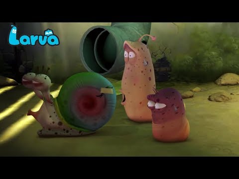 Larva Terbaru New Season  | Episodes Straw | Insectivorous Plant | Snail | Larva 2018 Full Movie