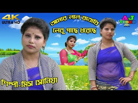 ভিডিও: লেবু সসের সাথে সালমন শশলিক