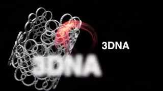 3Dna Bracciale