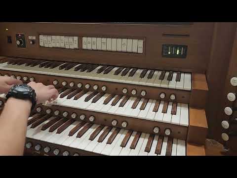 The Kamikaze Corps (Organ Cover)  特攻隊節  オルガンカバー