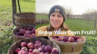 Backyard Fruit Orchard~Planning & Planting Tips!