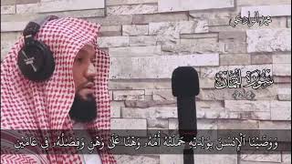 {ووصينا الإنسان بوالديه حملته أمه وهناً على وهن..}  بصوت القارئ محمد الوادعي