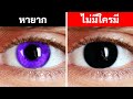 ทำไมไม่มีมนุษย์คนไหนเกิดมามีตาสีดำสนิท / ทำไมดวงตาถึงมีสีเหล่านี้ ?