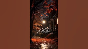 ومن أحسن قولاً ممّن دعا إلى الله _ القارئ أحمد النفيس