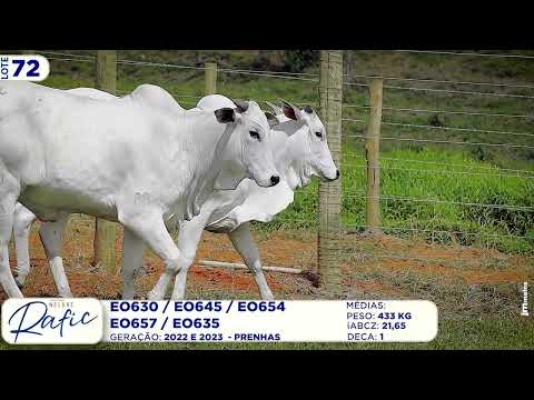 LOTE 72   EO 654, 645, 630, 657, 635