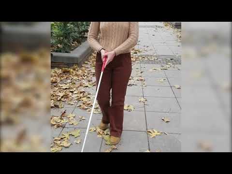 YEAs for Human Rights