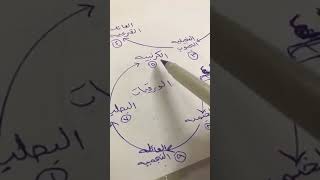 الدورة الزراعية .. سناب تيماء الزراعي