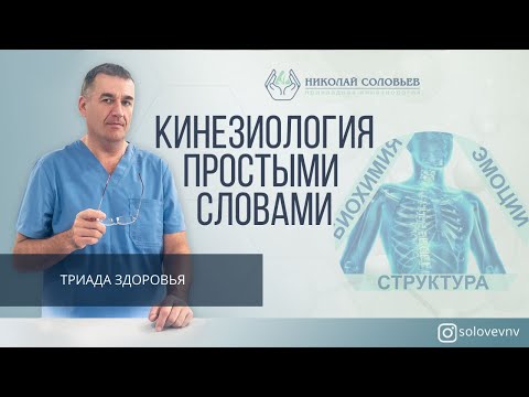 КИНЕЗИОЛОГИЯ - что это и в чем ее смысл | 3 ГЛАВНЫЕ СОСТАВЛЯЮЩИЕ прикладной кинезиологии