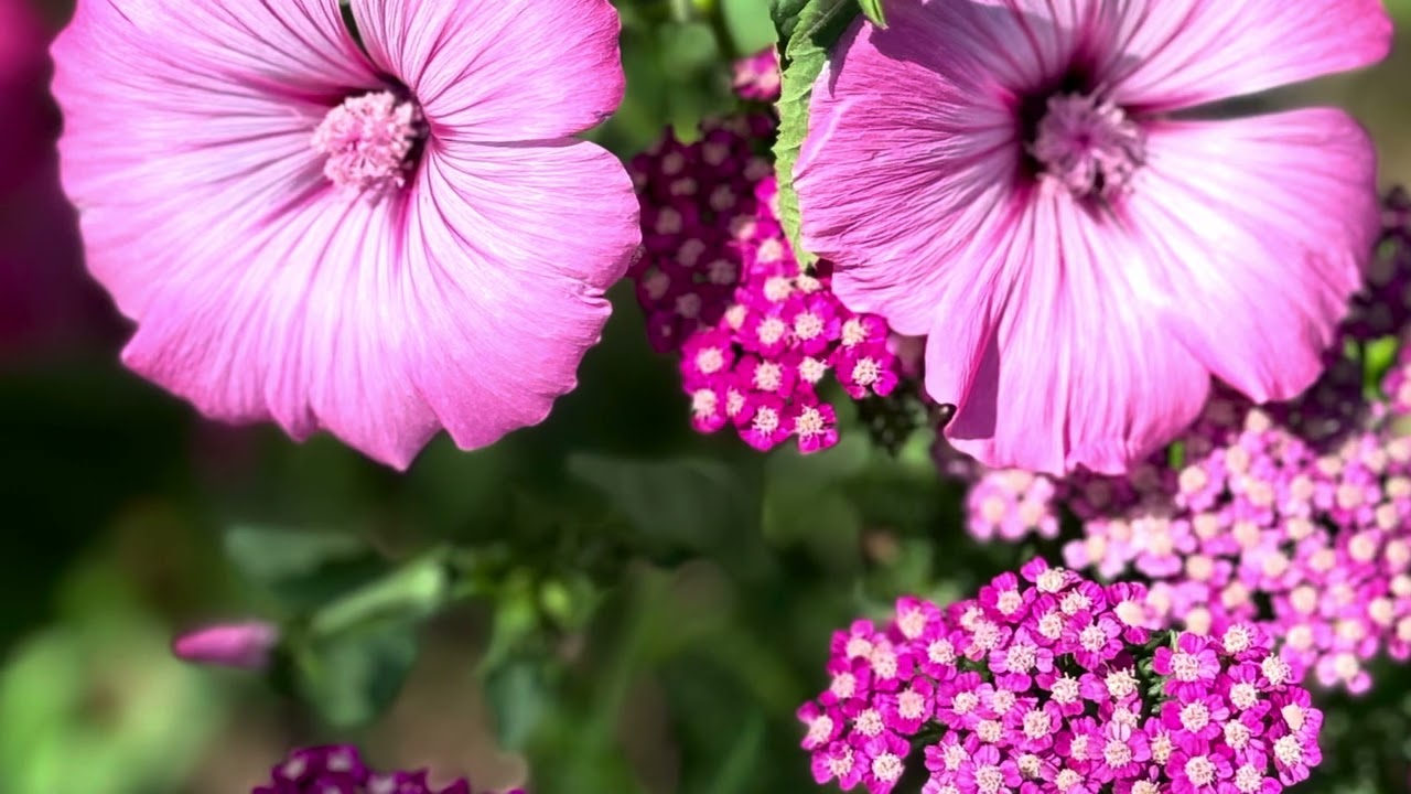 Memories of 2024 to get me through the winter