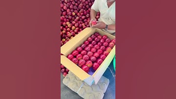 Farm Fresh Apples🍎🍏 Sorting & Packaging📦😎 #indianfarmer #shorts