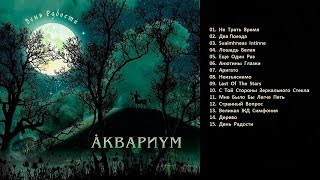 ÅКВАРИУМ - ✨«День Радости» (2010 Album)