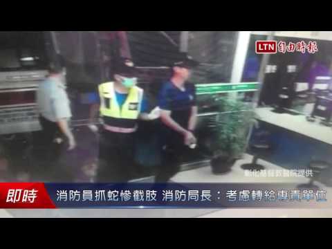 消防員抓蛇慘截肢 消防局長：考慮移轉給專責單位