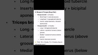 trick to learn lower limb muscles