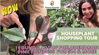 I FOUND a lot of $14 PHILODENDRON PINK PRINCESS!!! Plant Shopping with me!!! Houseplant Tour!!