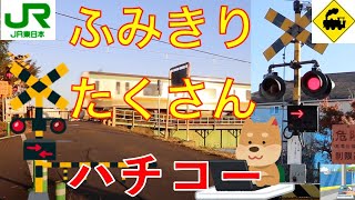 ふみきり沢山　JR八高線（南）　Japan Railway crossing JR Hachiko LINE RAILWAY(japan)