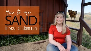 Using sand in your chicken run