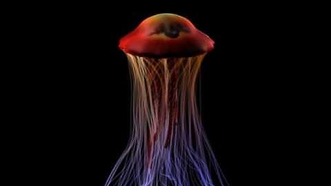 Jellyfish Animation Test