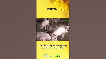 Lâm Đồng : Đẩy mạnh ứng dụng cơ giới hóa nông nghiệp #LamdongTV #LTV #LamDong #tintuc
