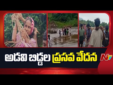 Alluri District: అల్లూరి జిల్లాలో అడవి బిడ్డల ప్రసవ వేదన | NTV Telugu - NTVTELUGU