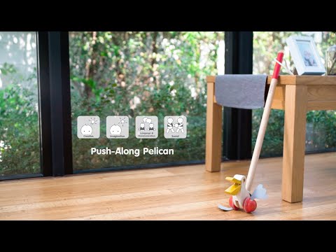 plan toys push along