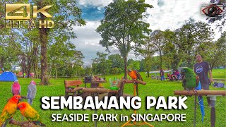 [4K] Sembawang Park : Singapore Walking Tour