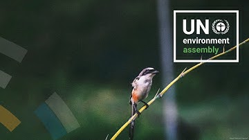 From Regions to the High Seas: Mobilizing the Regional Seas Conventions and Action Plans