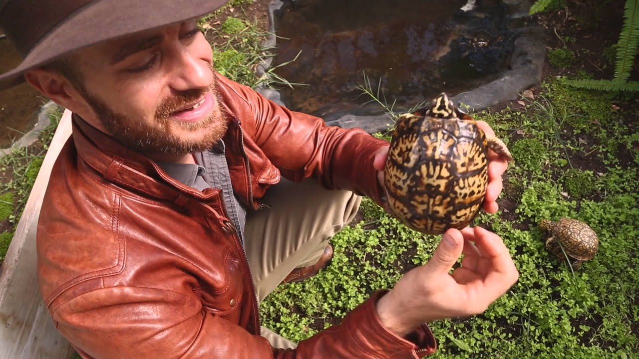funny video memes Zoo Med's Amazing Reptile Greenhouse! Kamp Kenan S3 Episode 27
