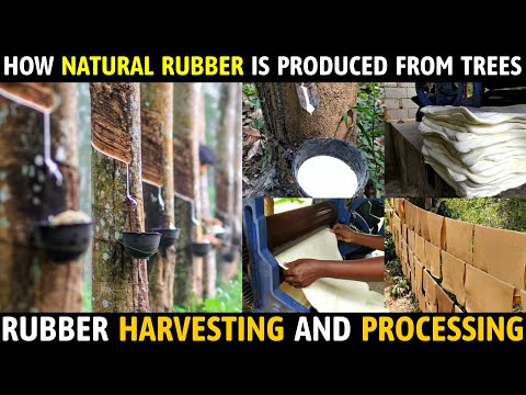 Our Rubber Making Processes