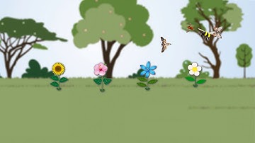 Plant-pollinator systems under threat