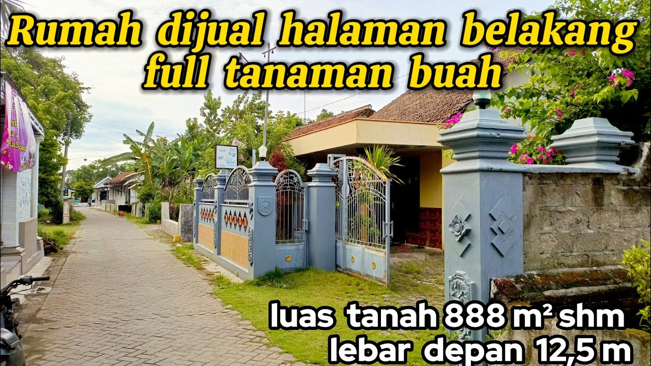 Rumah Dijual Halaman Belakang Full Tanaman Buah luas 888 m² ( 082194791760 ) 