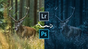 Dark Moody Look in Lightroom or Photoshop