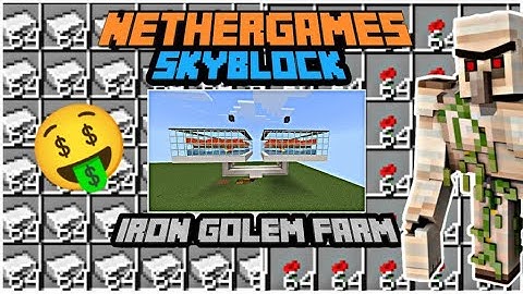 Nethergames Skyblock Hindi | Making Iron Golem Farm | #1
